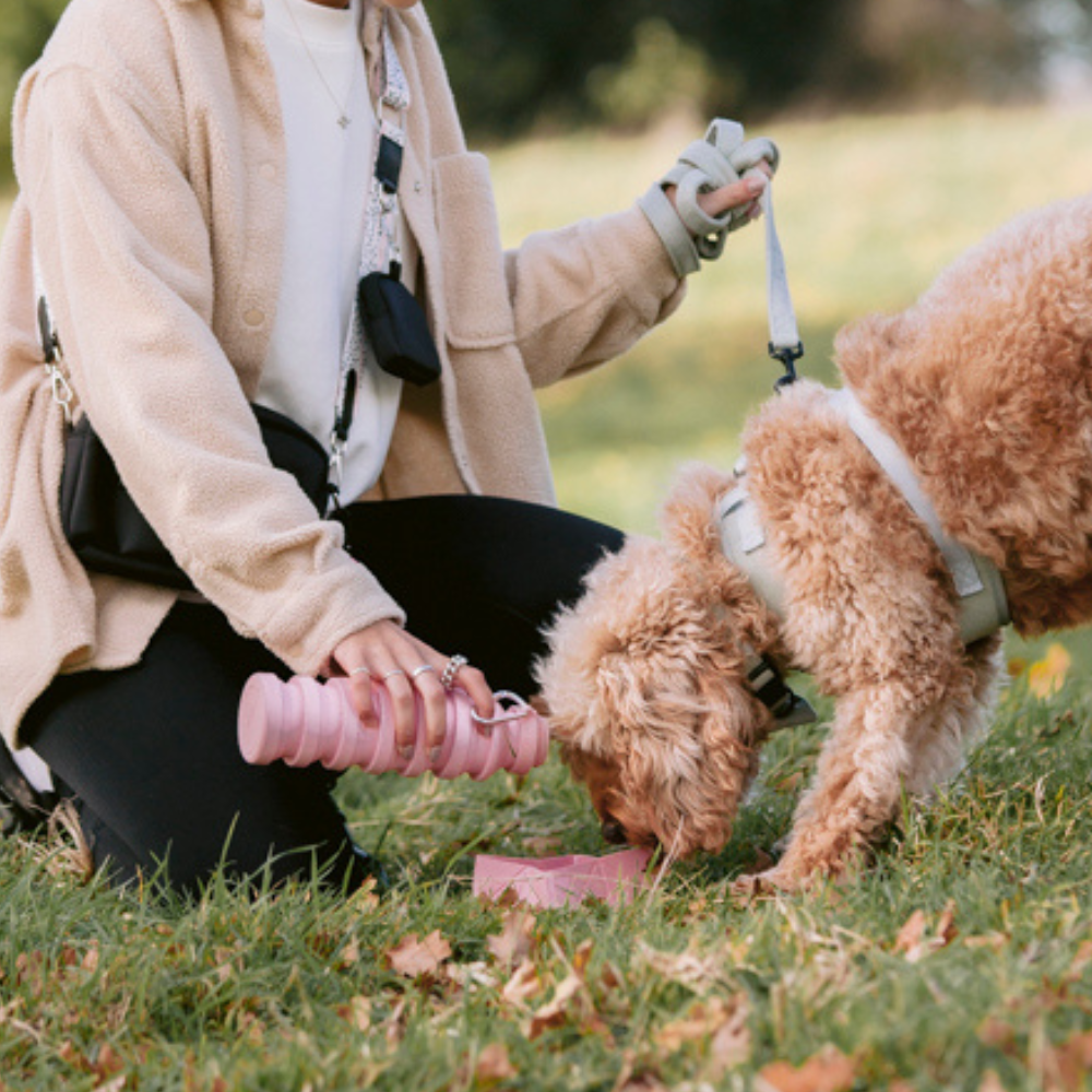 Collapsible Water Bottle - Pink