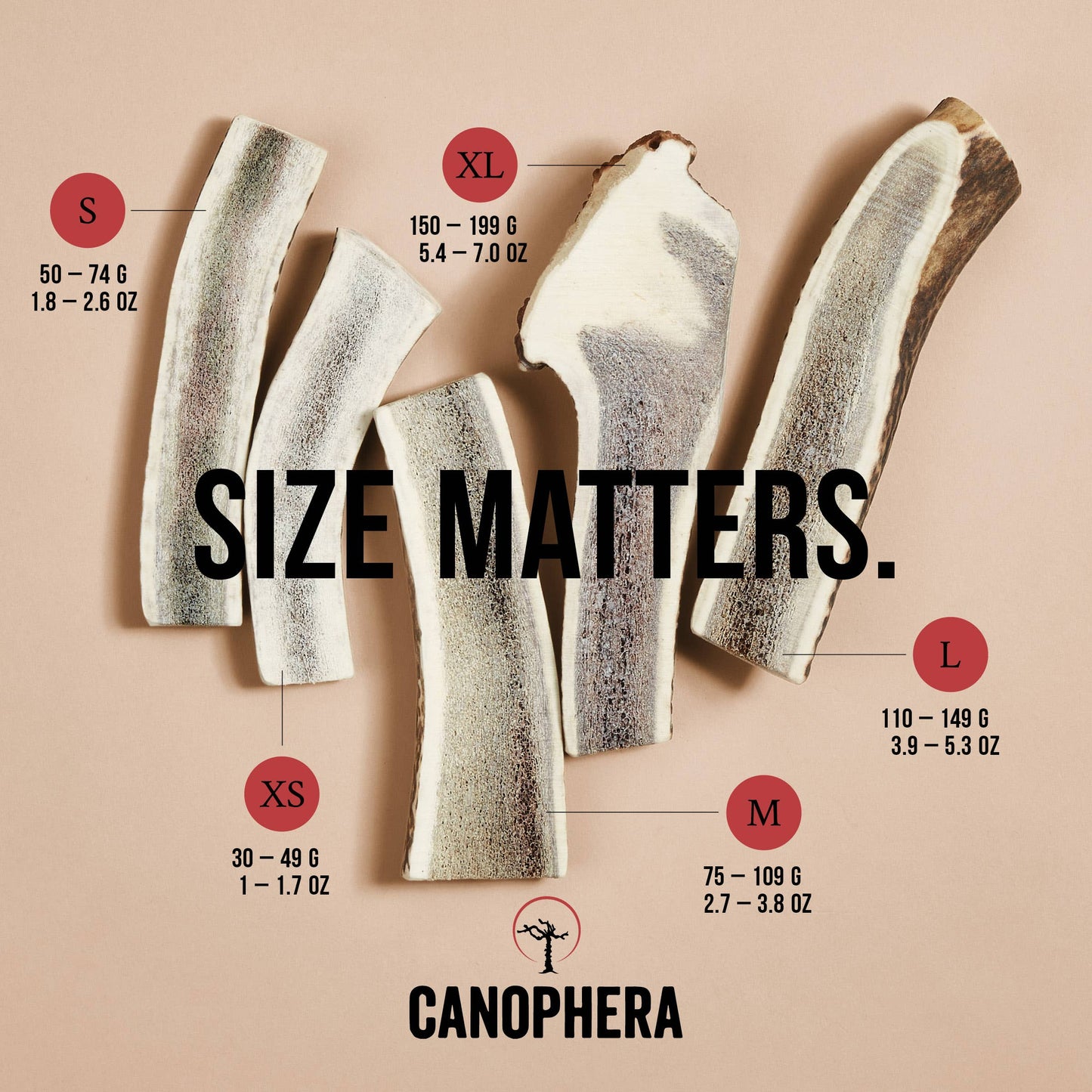 Dog Chew Made of Red Deer Antler Splits.: English / XS