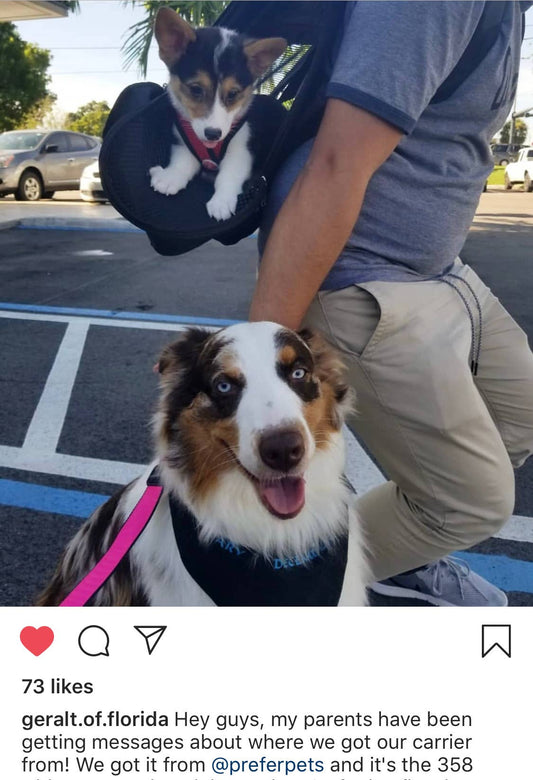 Hideaway Backpack - Black