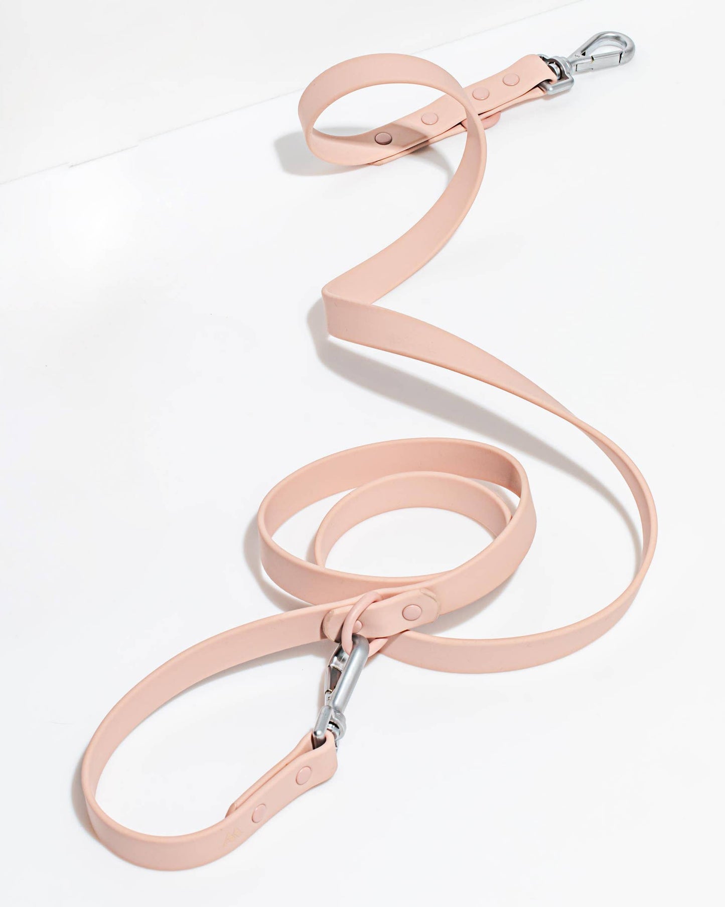 Adjustable Waterproof Dog Leash