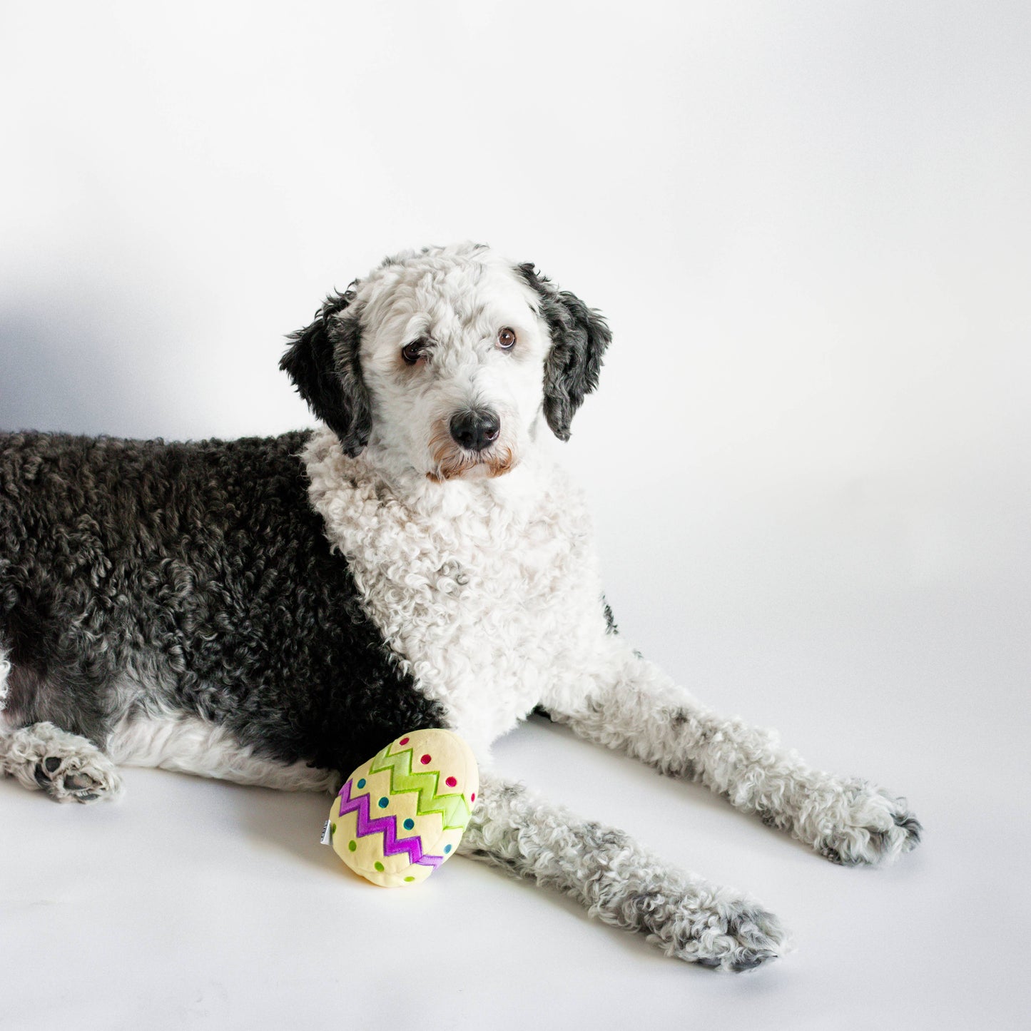 Plush Easter Egg Dog Toy with Squeaker