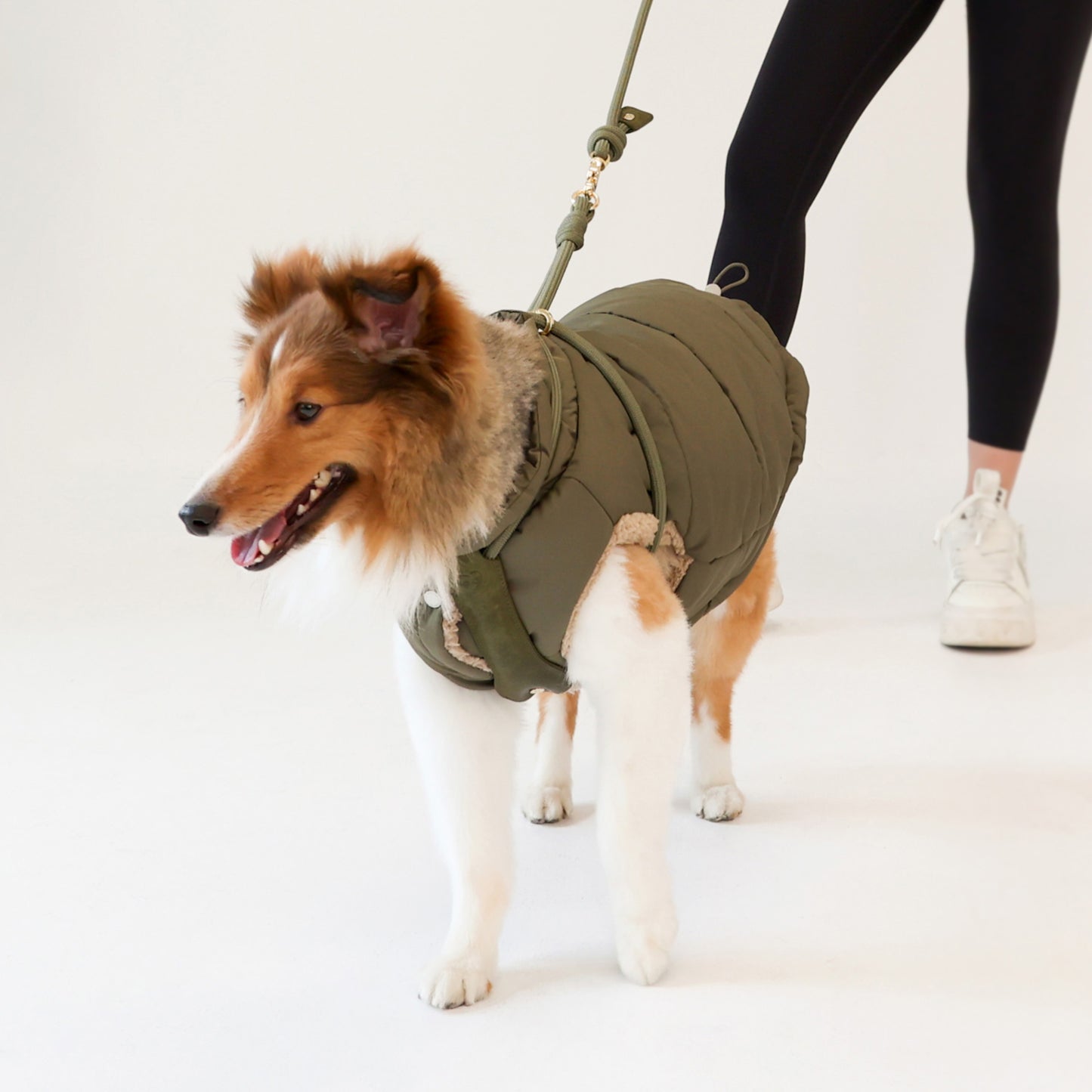 HOZI X LCB Essential Harness