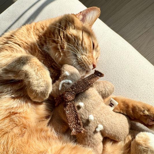 Ginger Man Toy