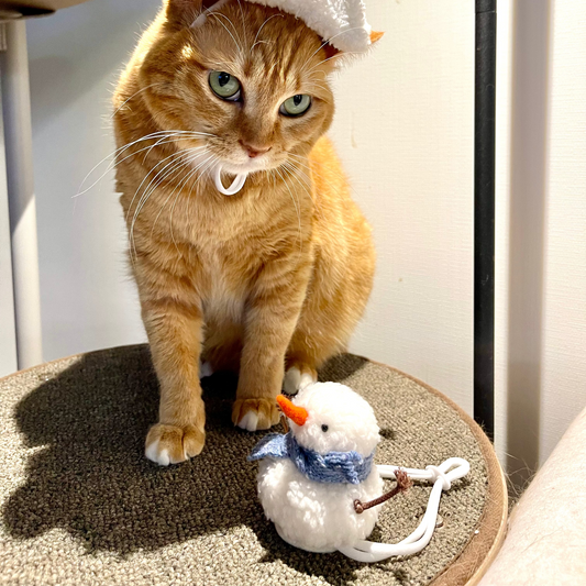 Melting Snowman Hat 1