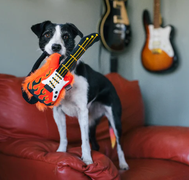 Electric Guitar