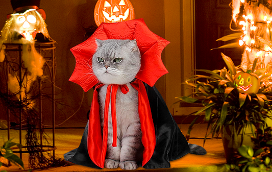 Vampire Costume