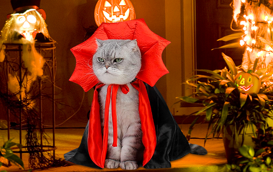 Vampire Costume
