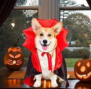 Vampire Costume