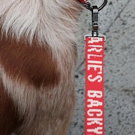 Trip Leash - Red