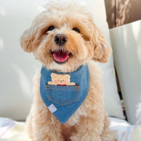 Pocket Teddy Denim Bandana - Small