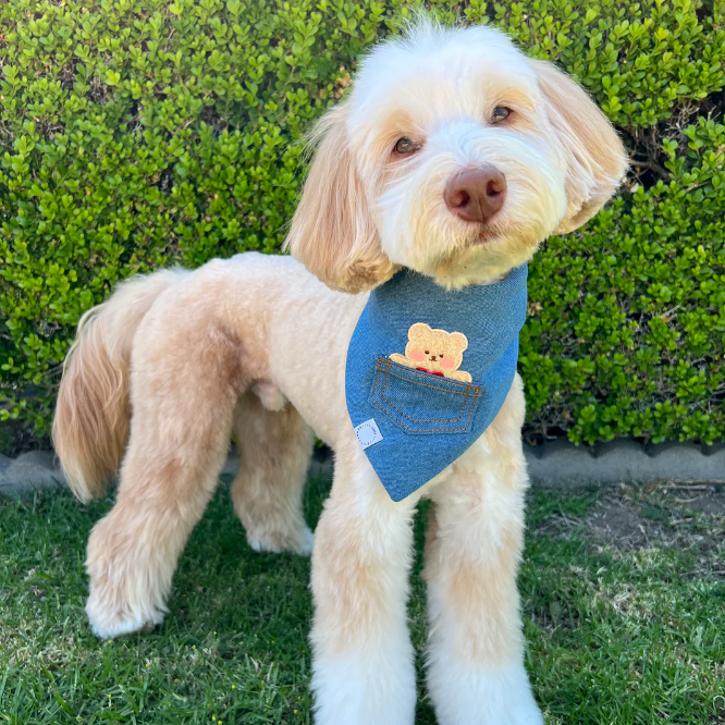 Pocket Teddy Denim Bandana - Small