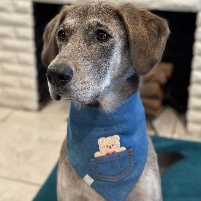 Pocket Teddy Denim Bandana - Small