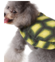 Turtle Costume