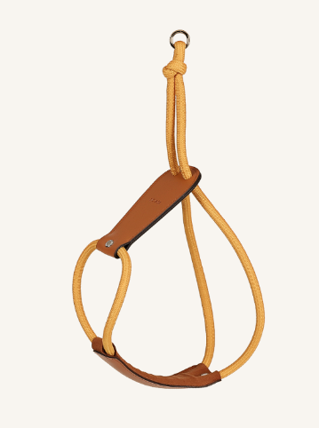 HOZI Essential Harness
