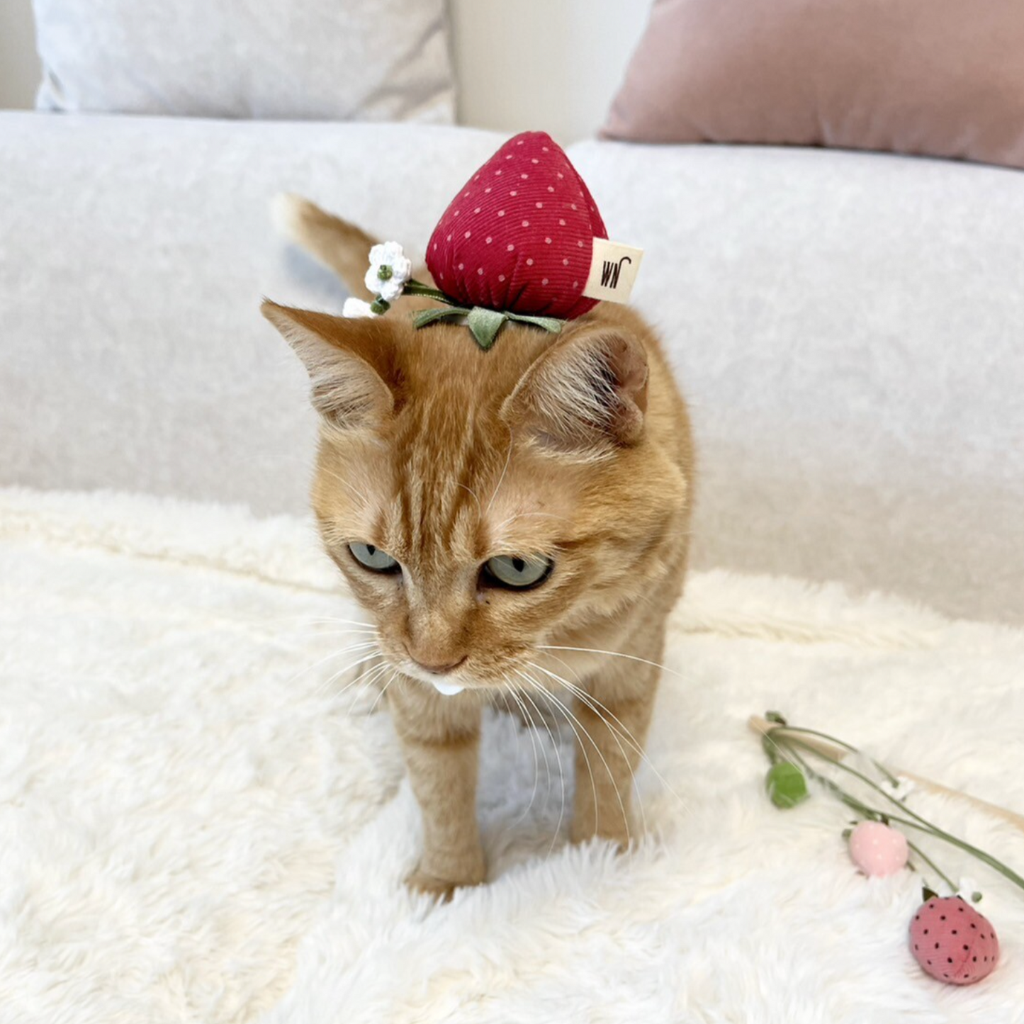 Strawberry Headpiece