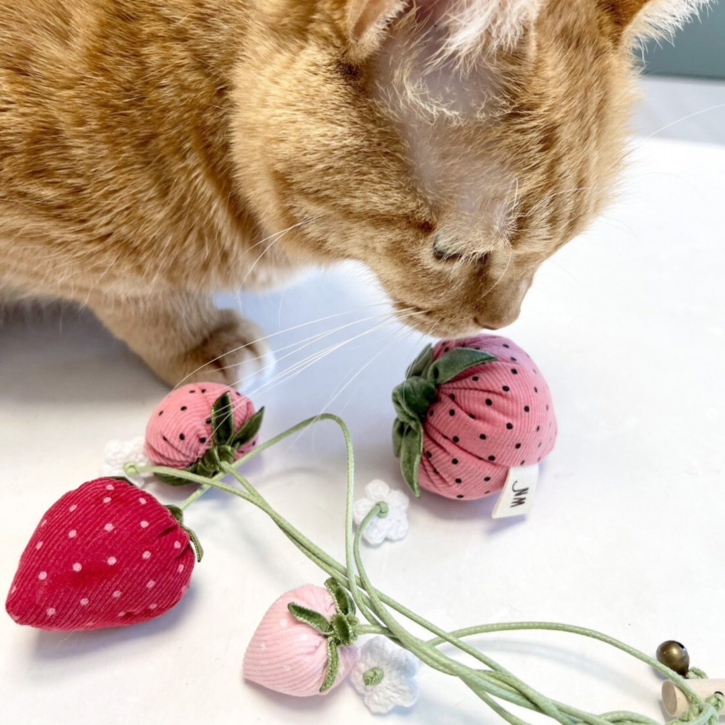 Strawberries (Set of 3)