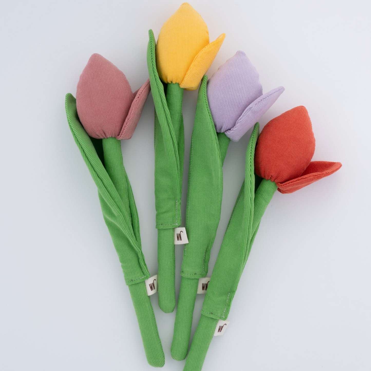 Tulip
