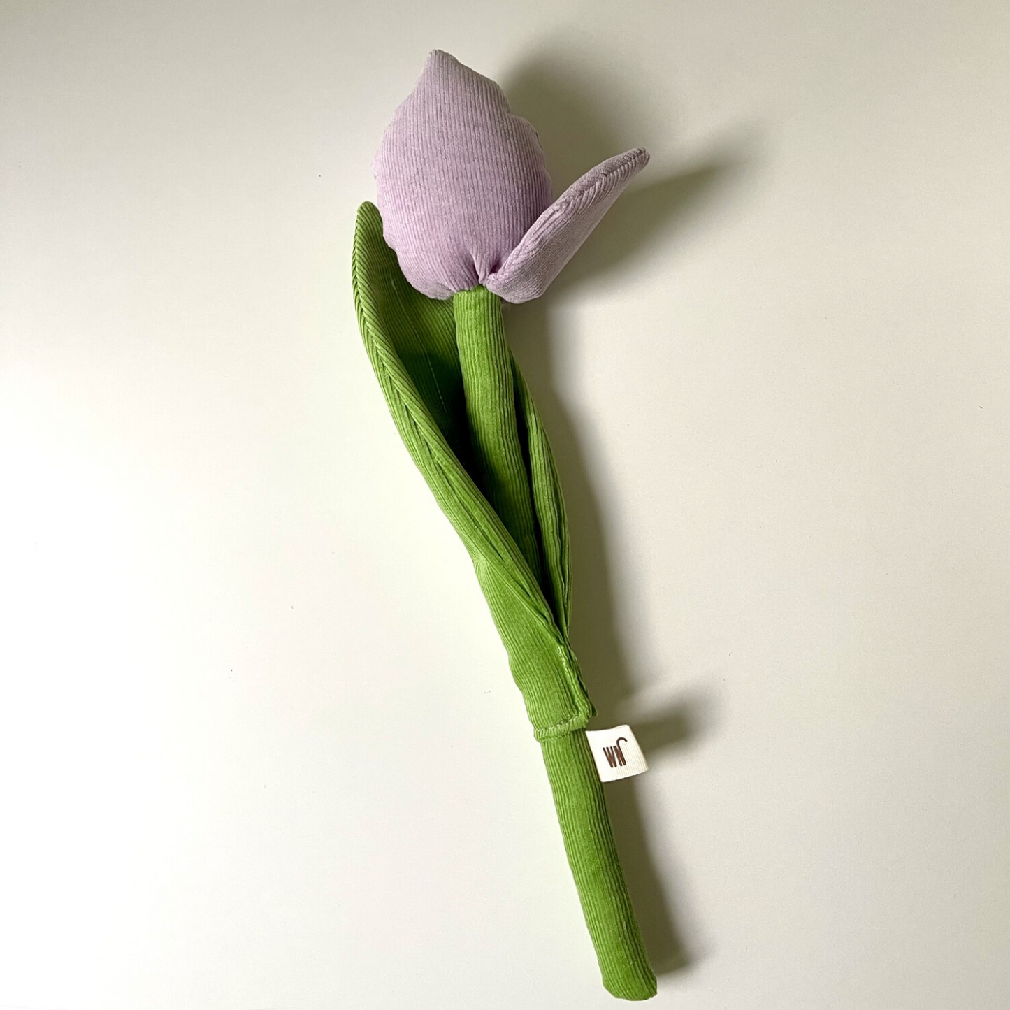 Tulip