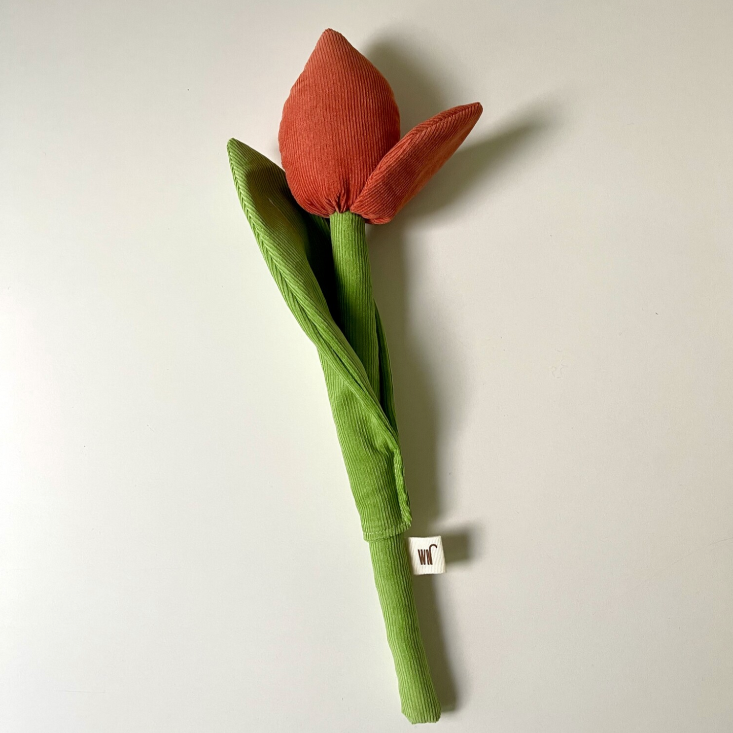 Tulip