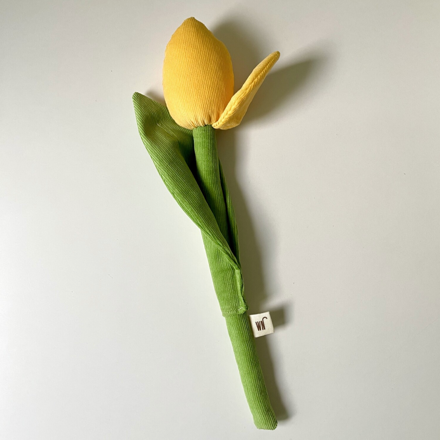 Tulip