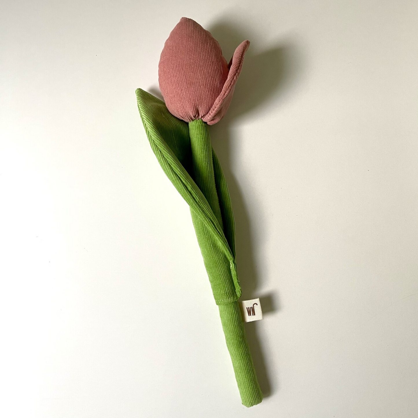 Tulip