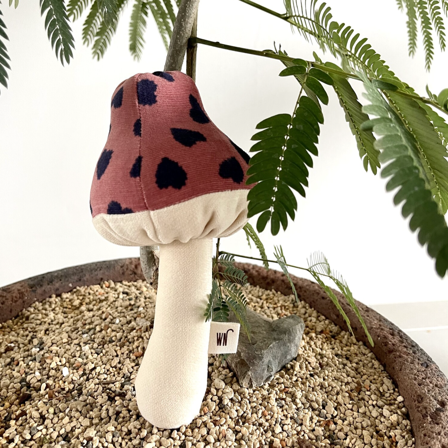 Toadstool