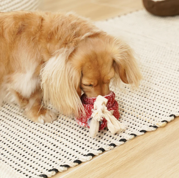 LOLLIPOP//ENRICHMENT DOG TOY