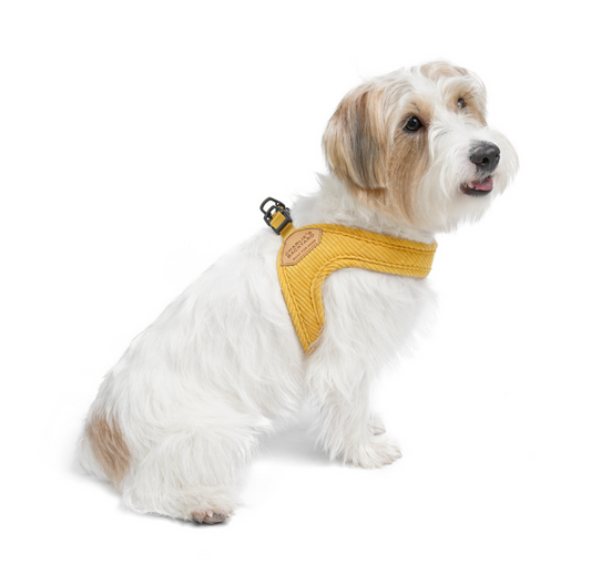 Roy Buckle Up Easy Harness - Butter