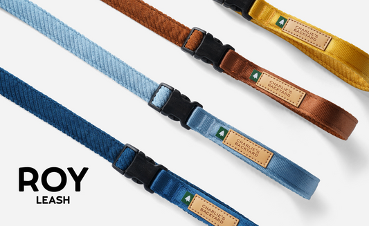 Roy Leash