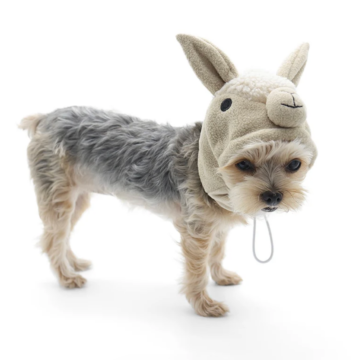Llama Hat