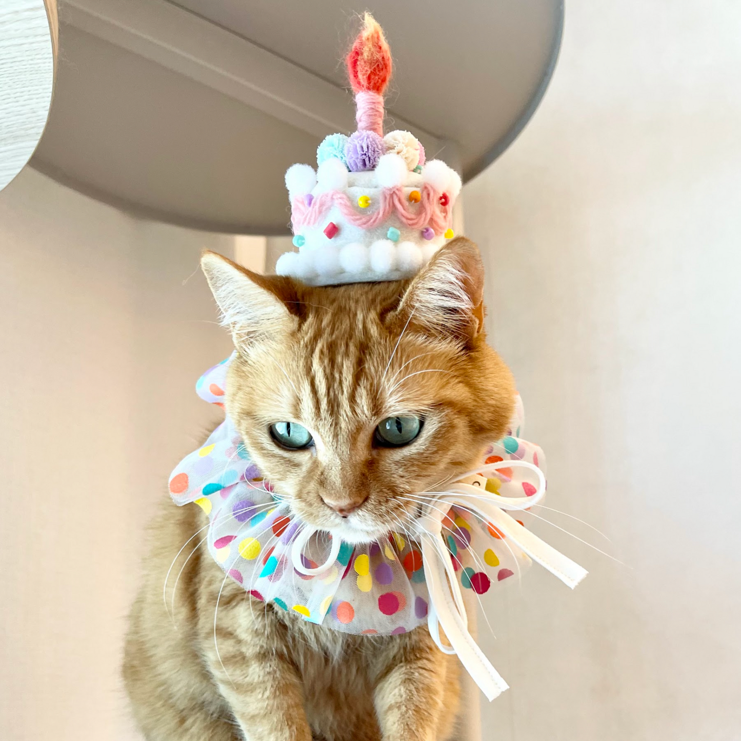 Cake Headpiece