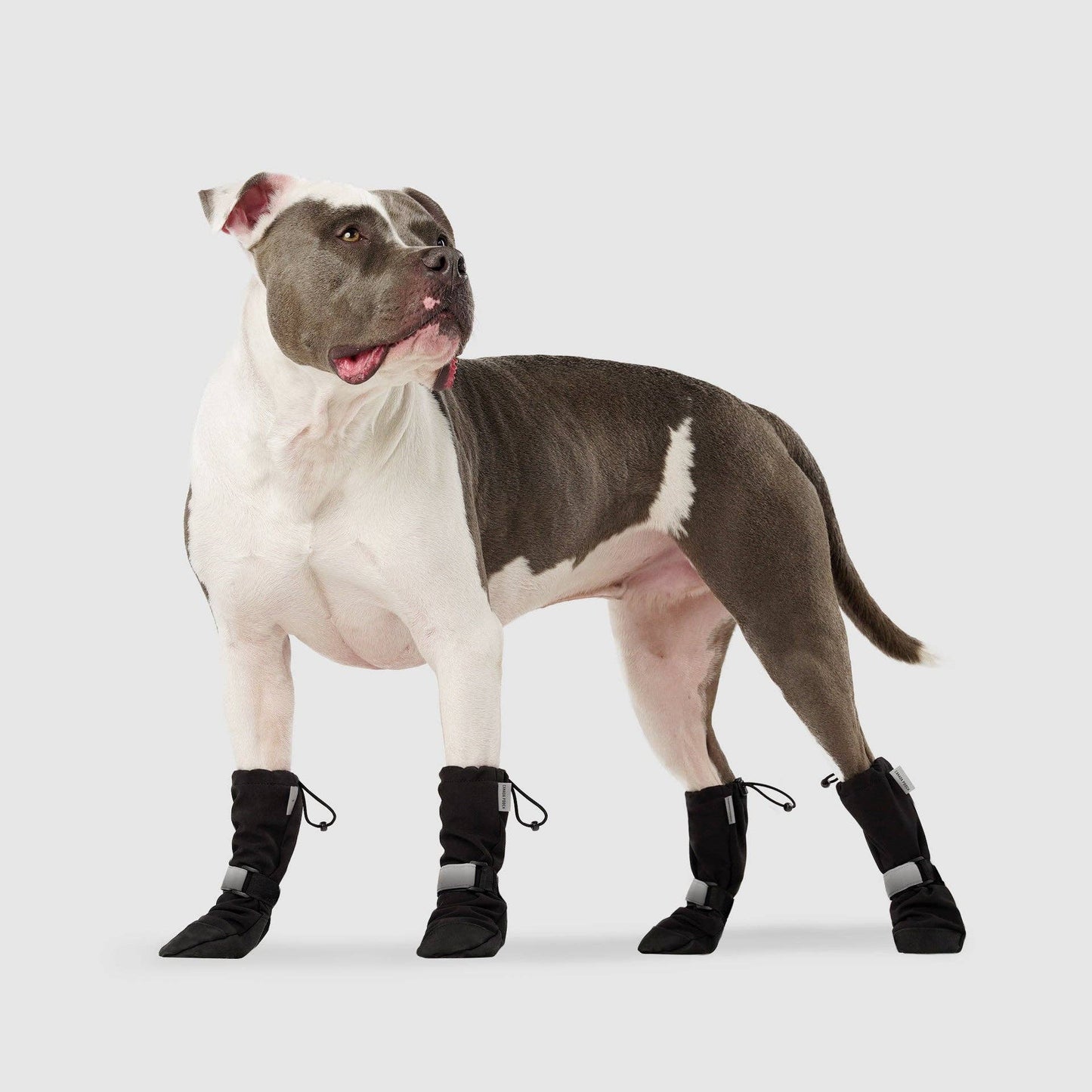 Soft Shield Boots- Dog Boots