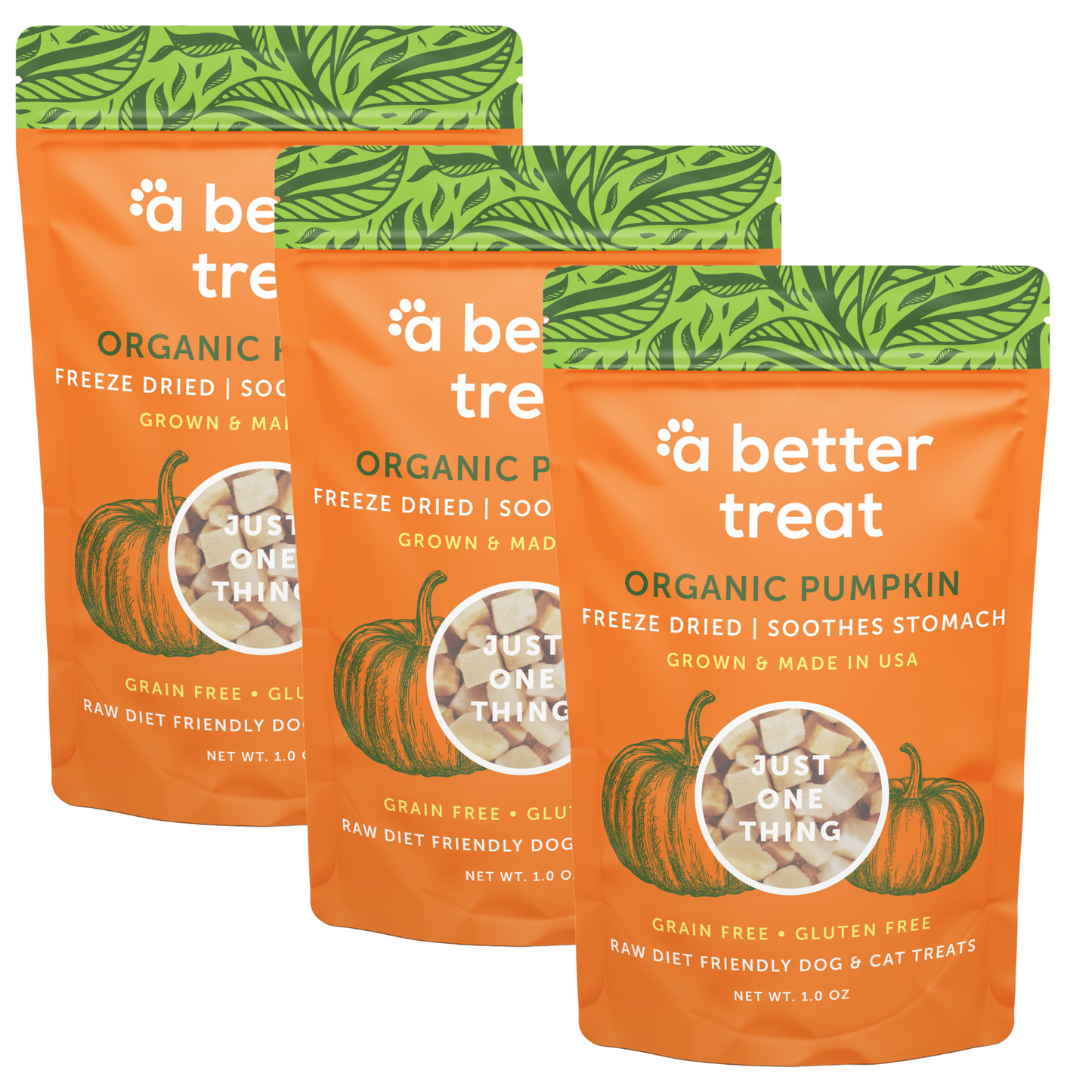 Organic Freeze Dried Pumpkin Dog and Cat Treats: Standard 1 Pack
