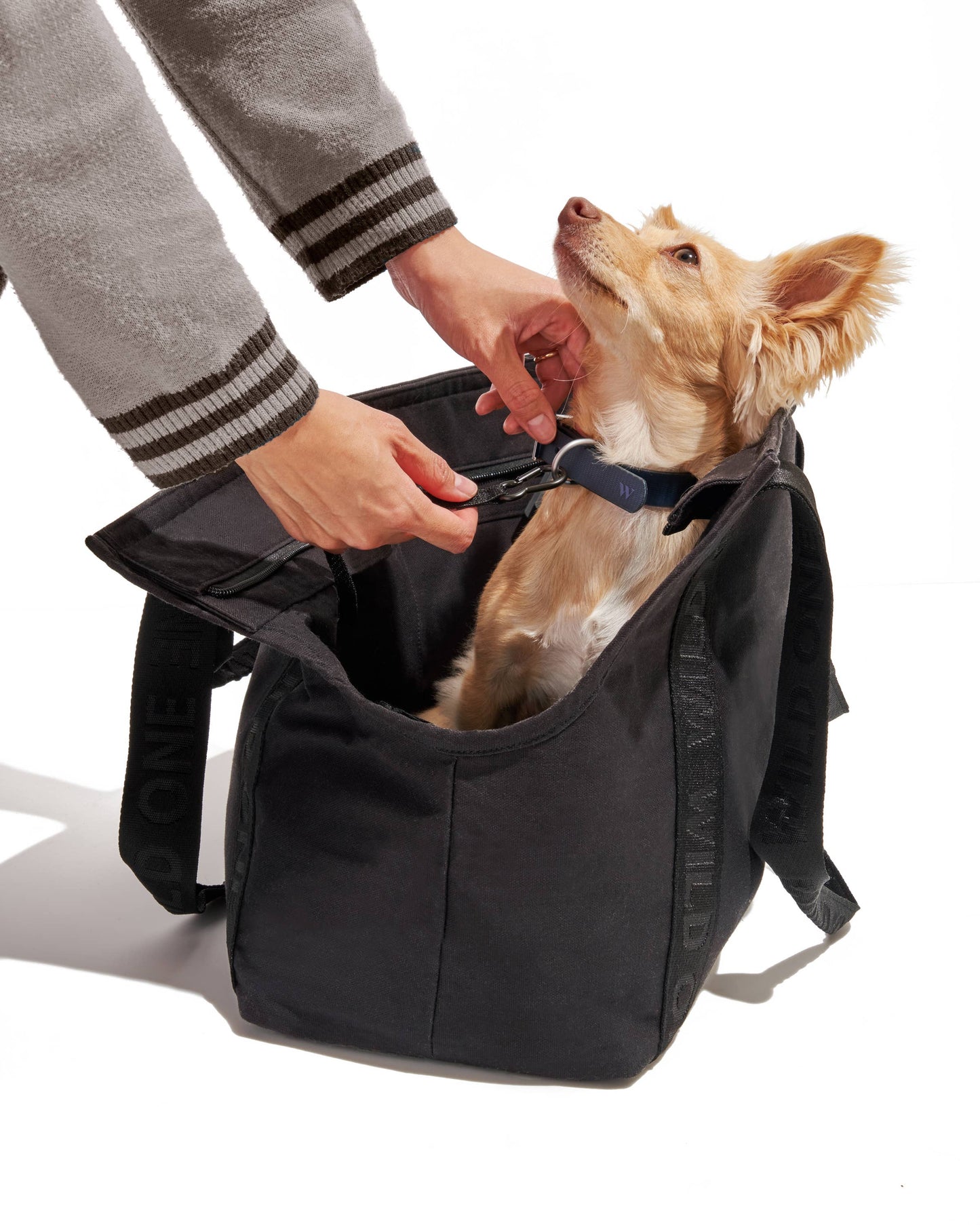 Cotton Everyday Carrier: Black