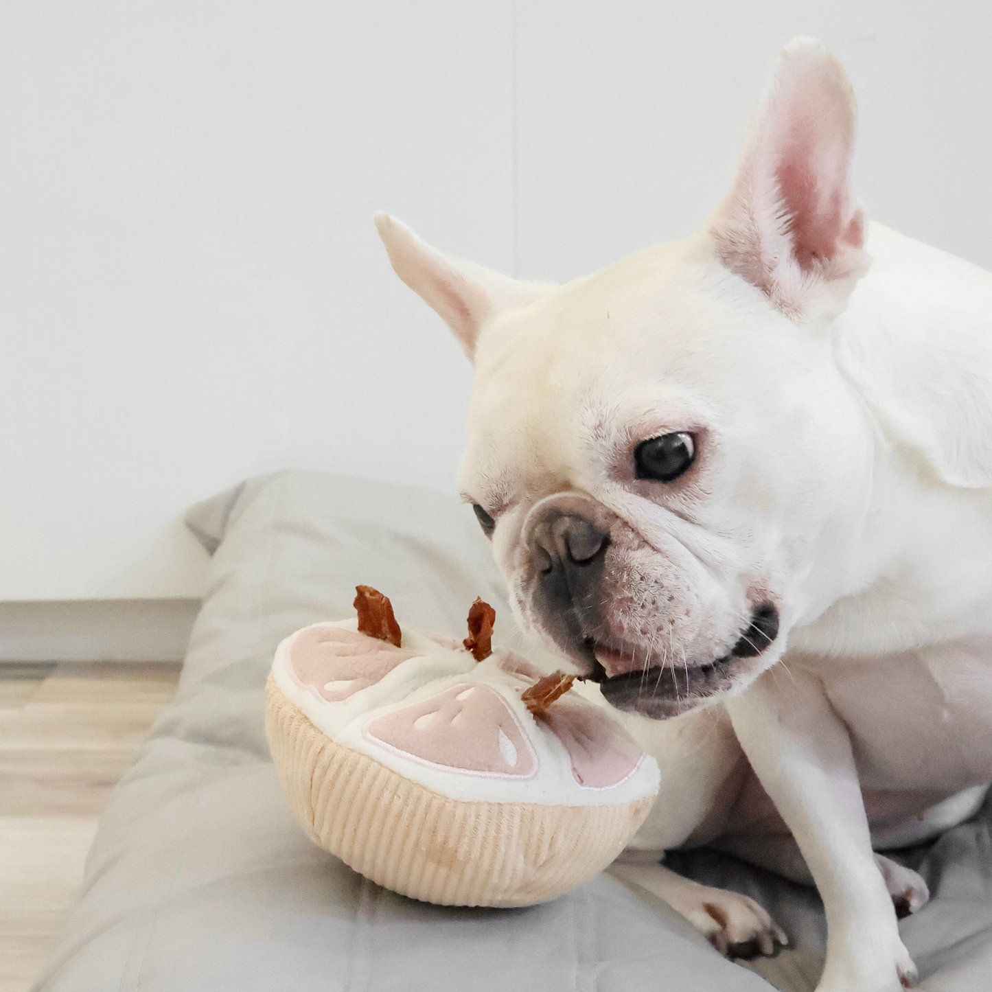 GRAPEFRUIT/ ENRICHMENT TOY SET// SNUFFLE TOY