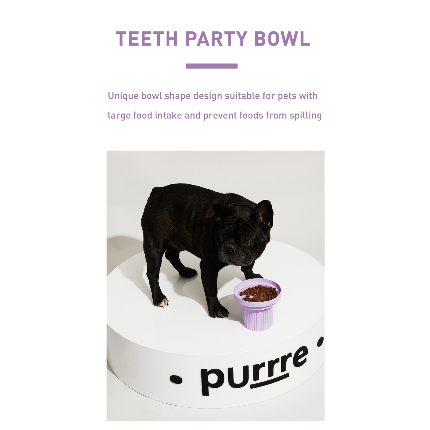 Teeth Party Elevated Feeders: Teeth Party Bowl / Ultra Violet