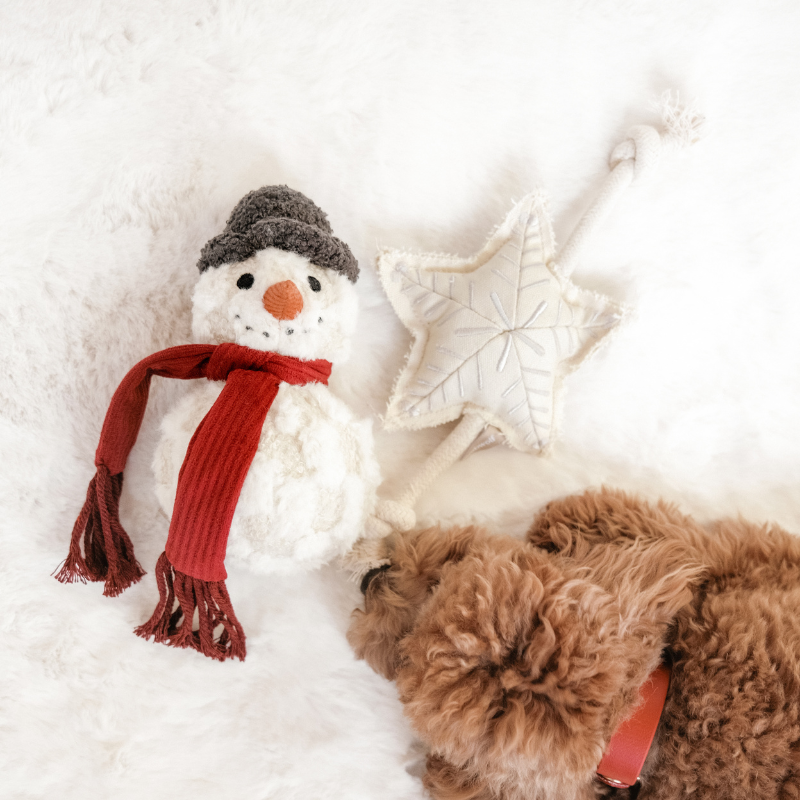 SNOWMAN//ENRICHMENT DOG TOY // HOLIDAY