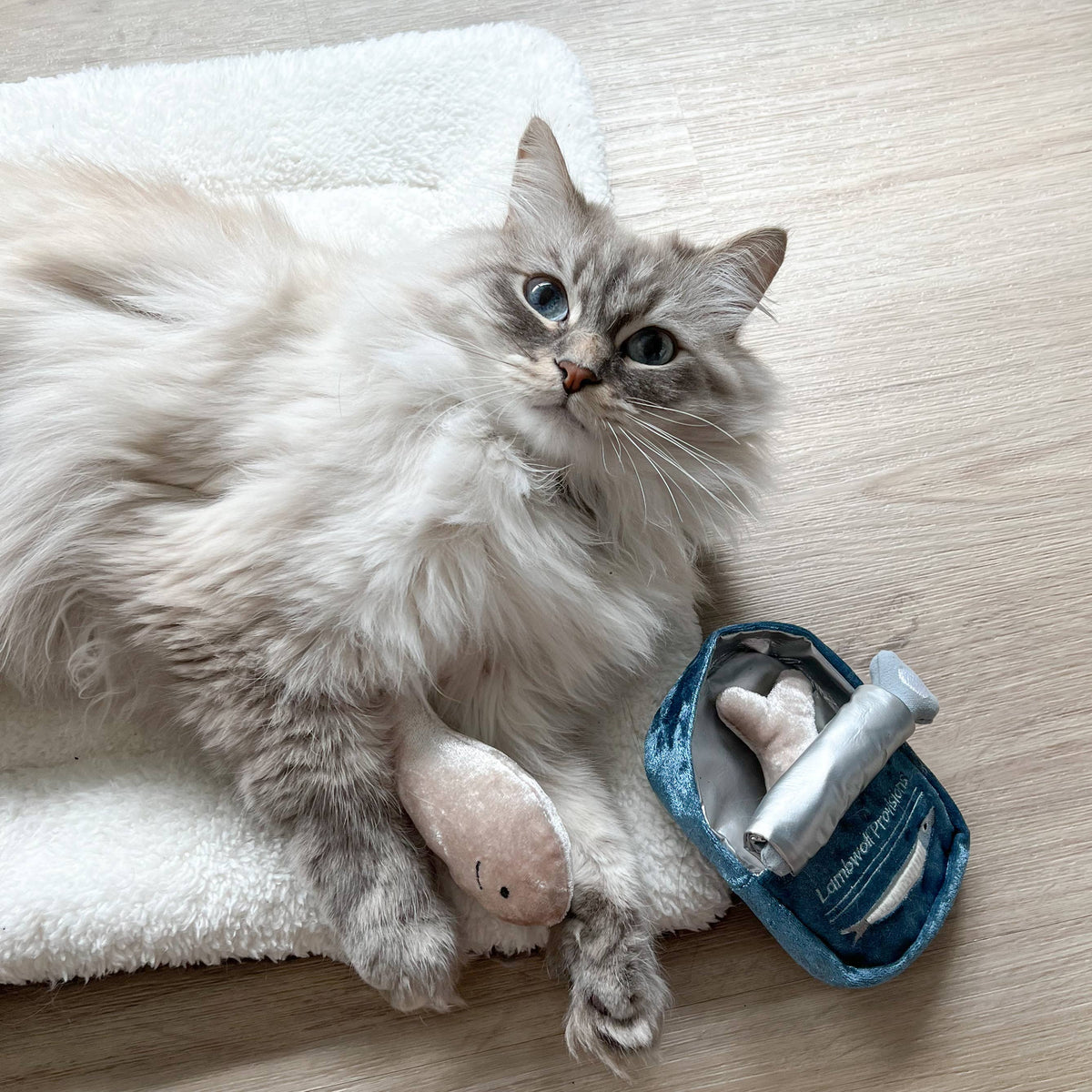KITTY SARDINES // CAT TOY // CATNIP // BURROW