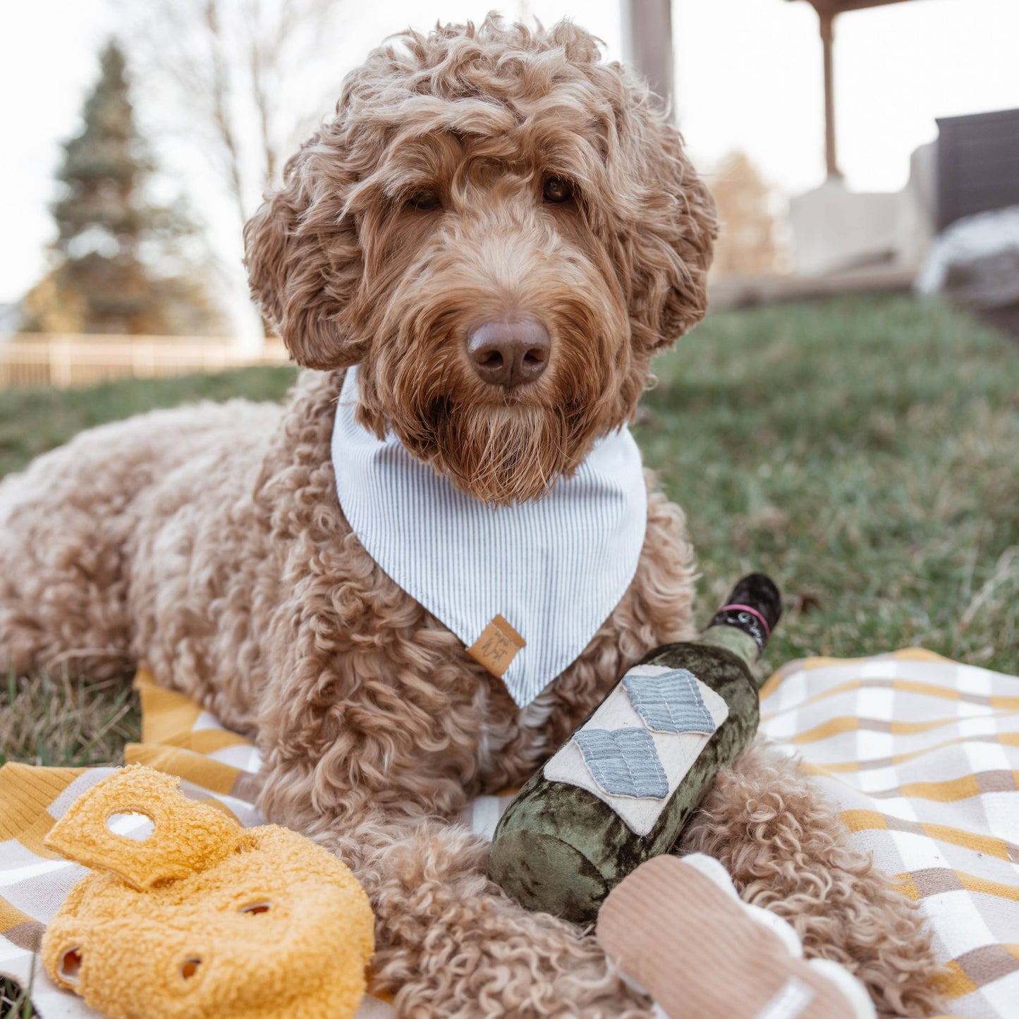 MERLOT//ENRICHMENT DOG TOY