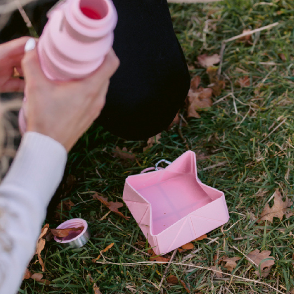 Foldable Travel Bowl - Pink