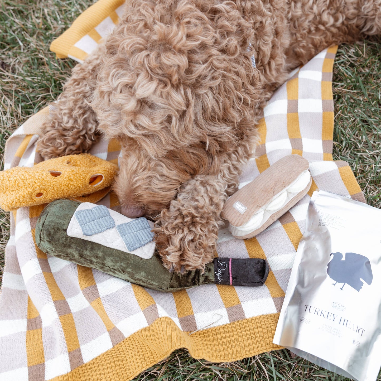 MERLOT//ENRICHMENT DOG TOY
