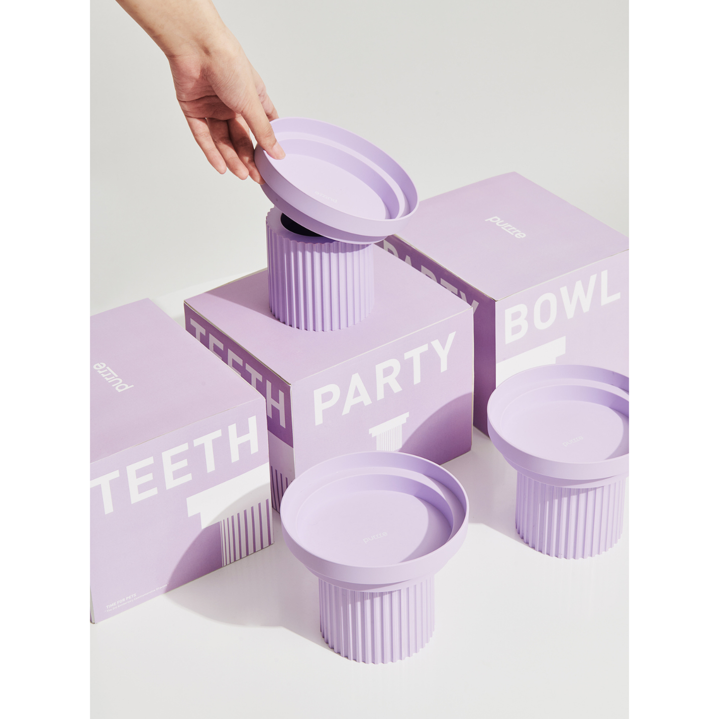 Teeth Party Elevated Feeders: Teeth Party Bowl / Ultra Violet