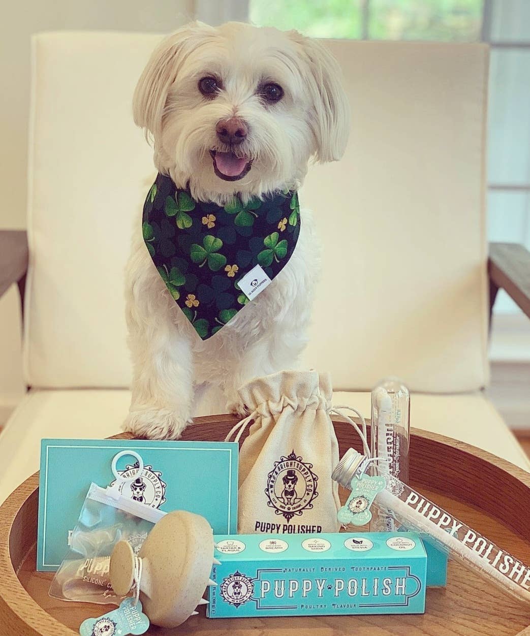 Puppy Polisher Shampoo Brush