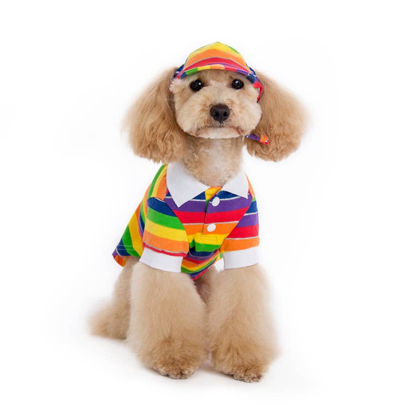 Rainbow Hat