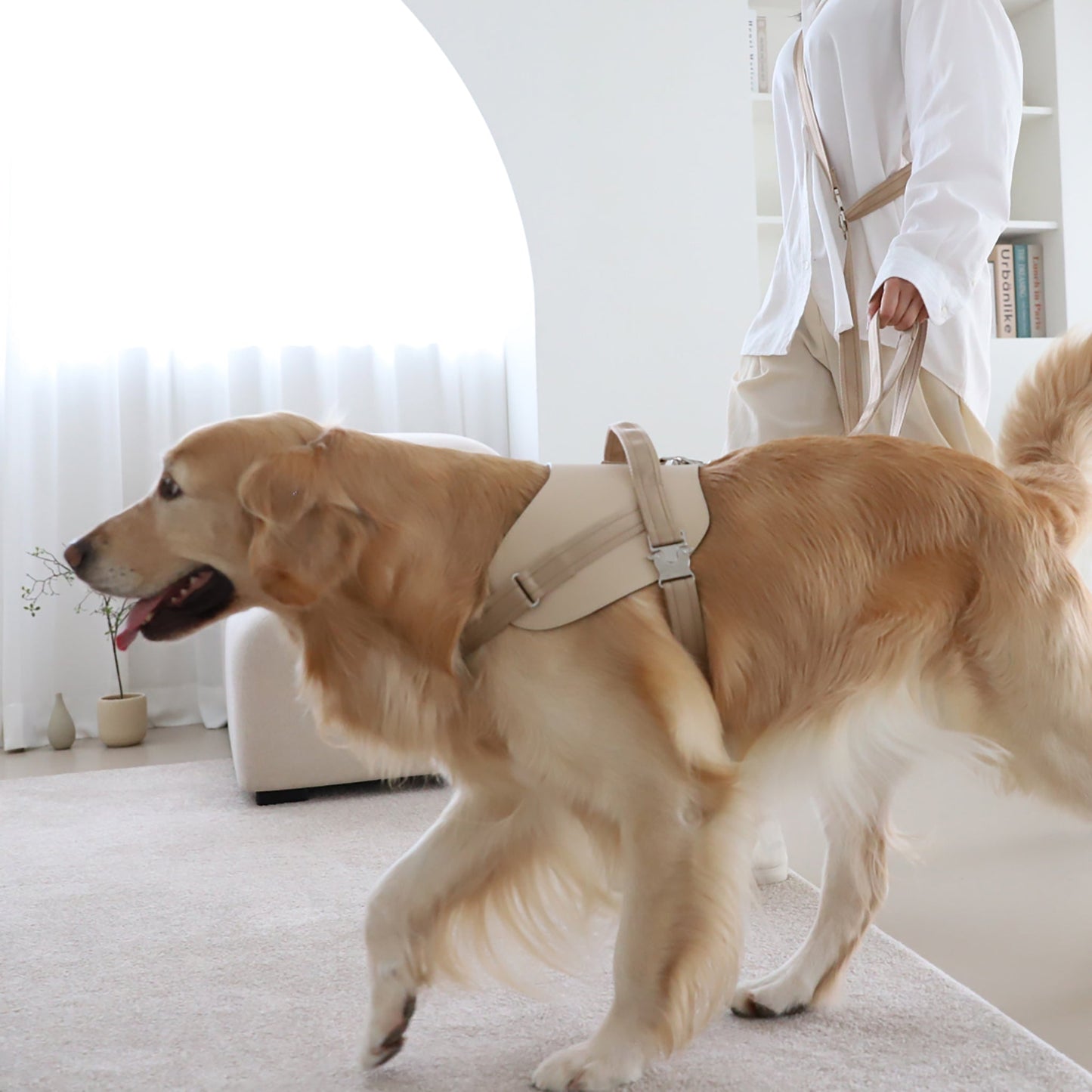 Saddle Hands-free Leash : Beige