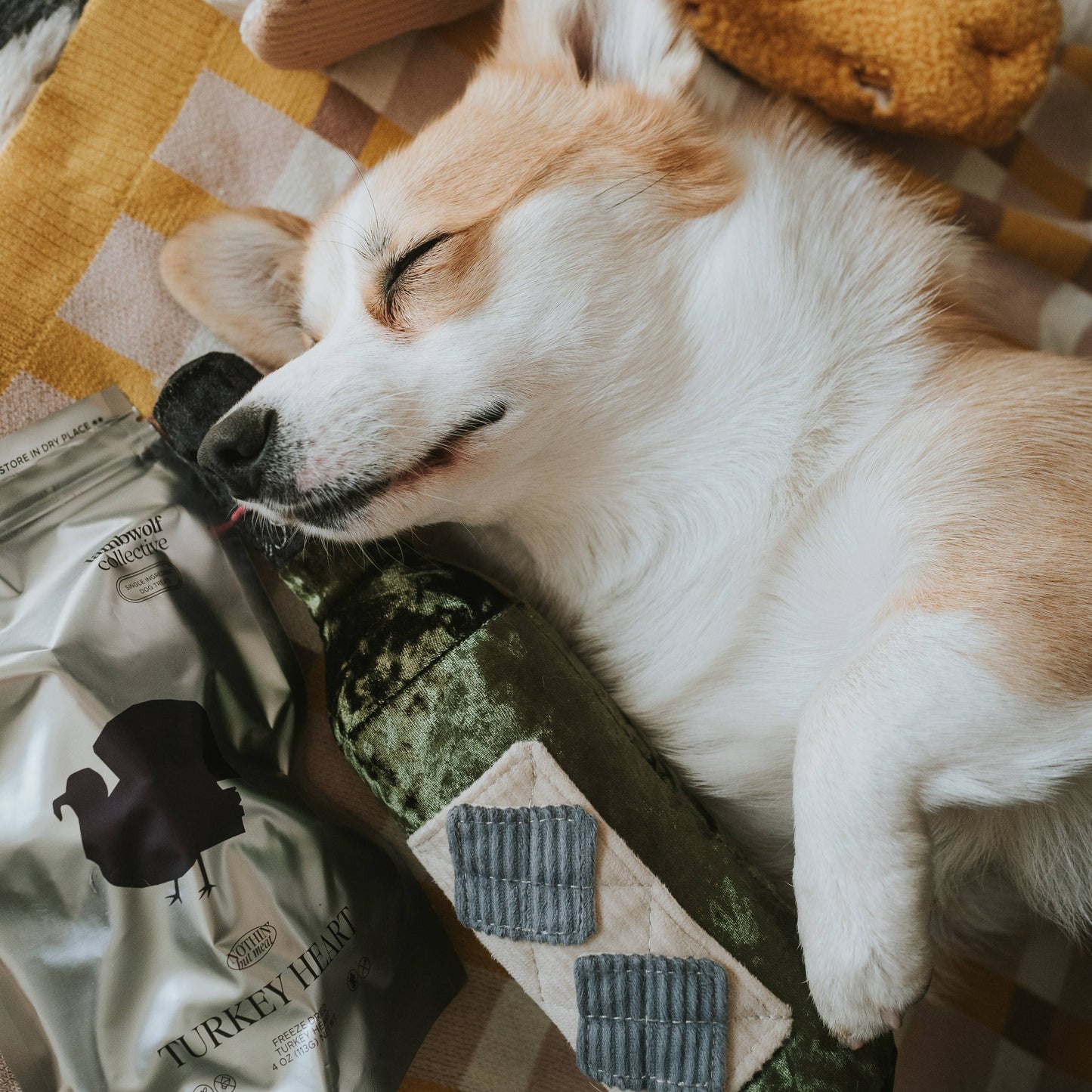 MERLOT//ENRICHMENT DOG TOY