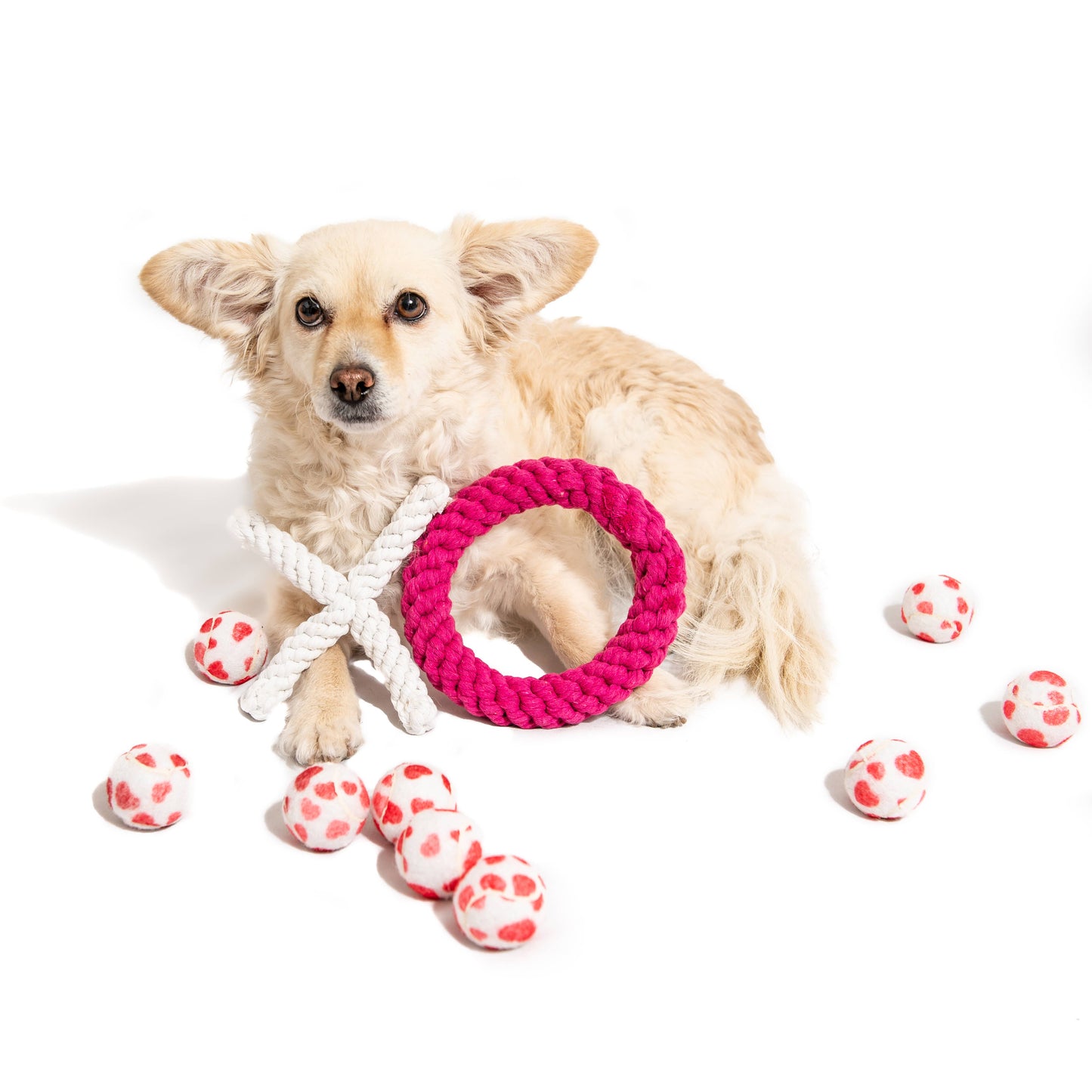 Valentine's Hearts Dog Tennis Balls: Regular