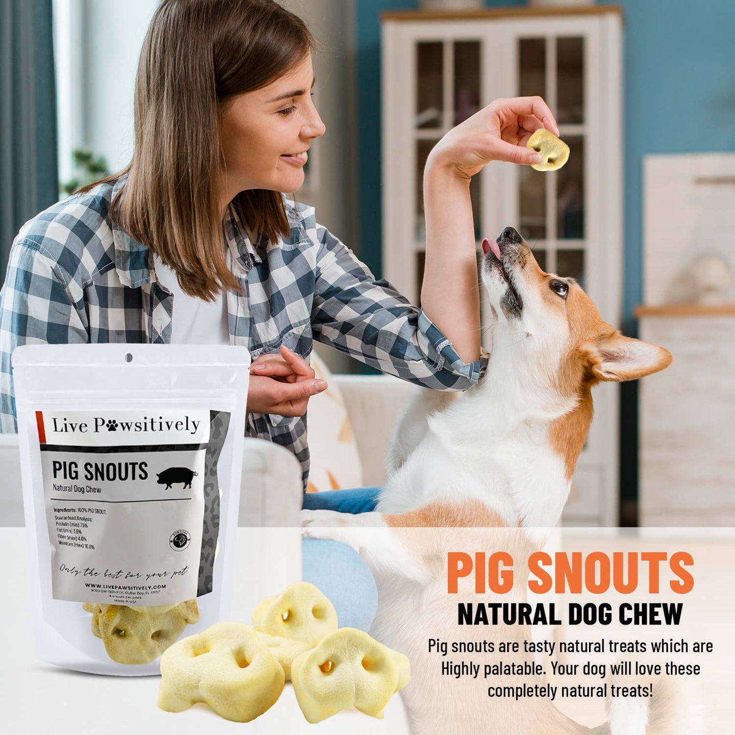 Pig Snout 4 Pack - Natural dog chew