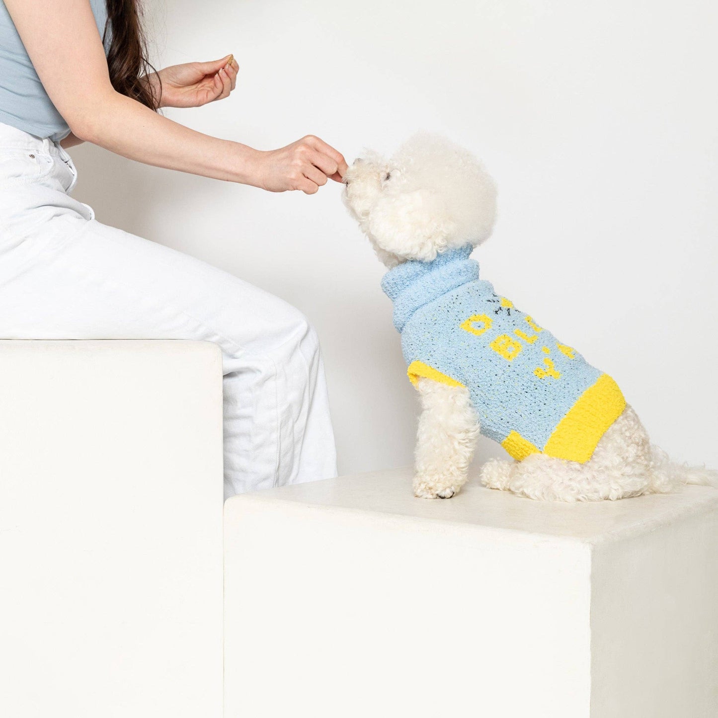 Dog Bless Sweater