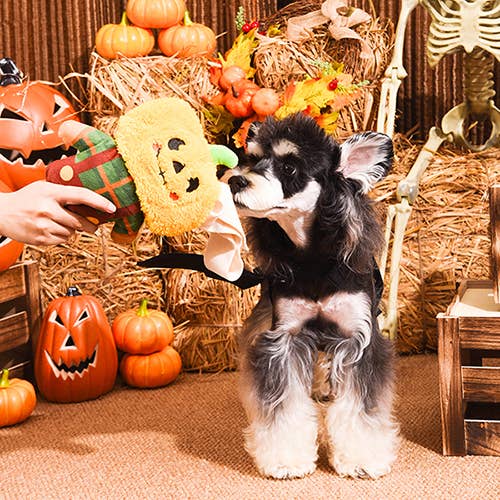 Howloween Night Scarecrow
